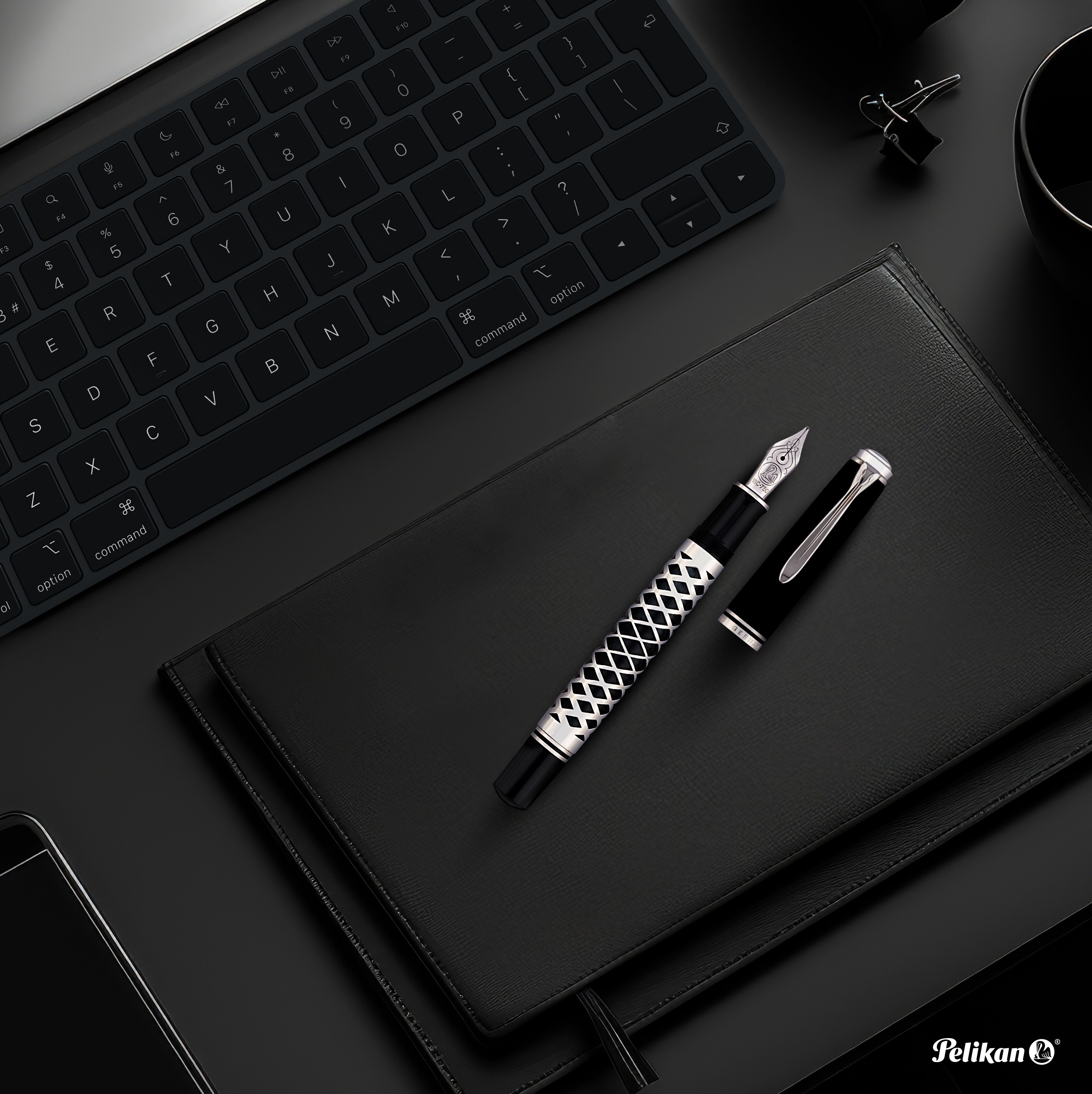 Pelikan M805 Metal Sleeve 3